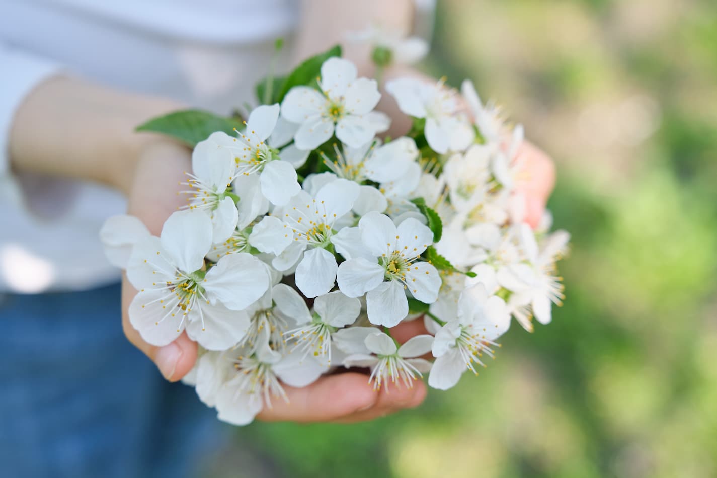 image of a person holding various spring flowers