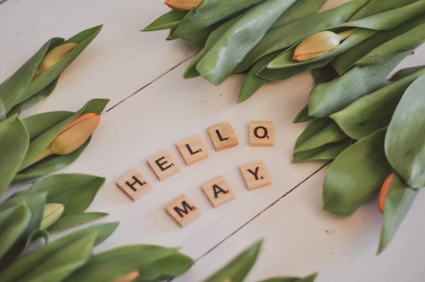 an image of wooden letter tiles spelling out hello may next to flowers budding