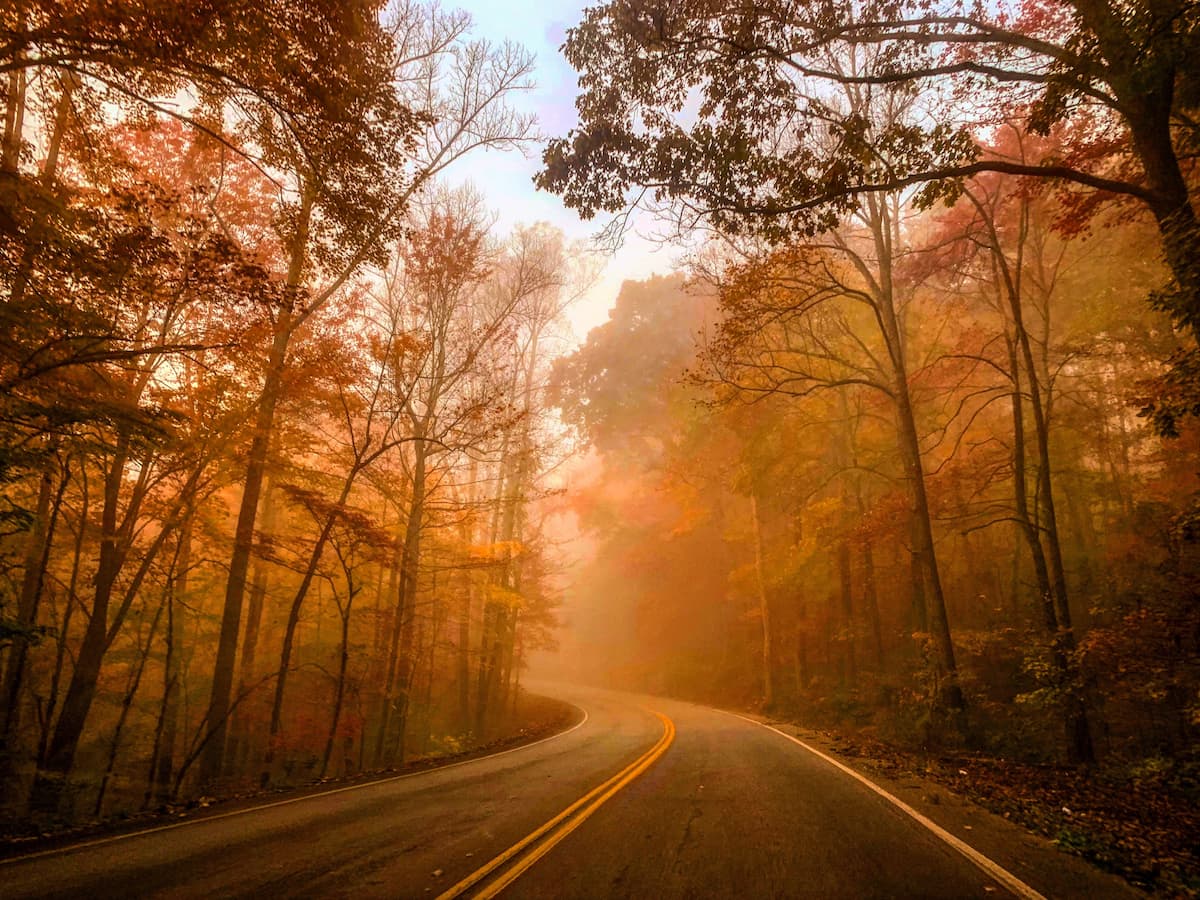 an image of a road in Tennessee