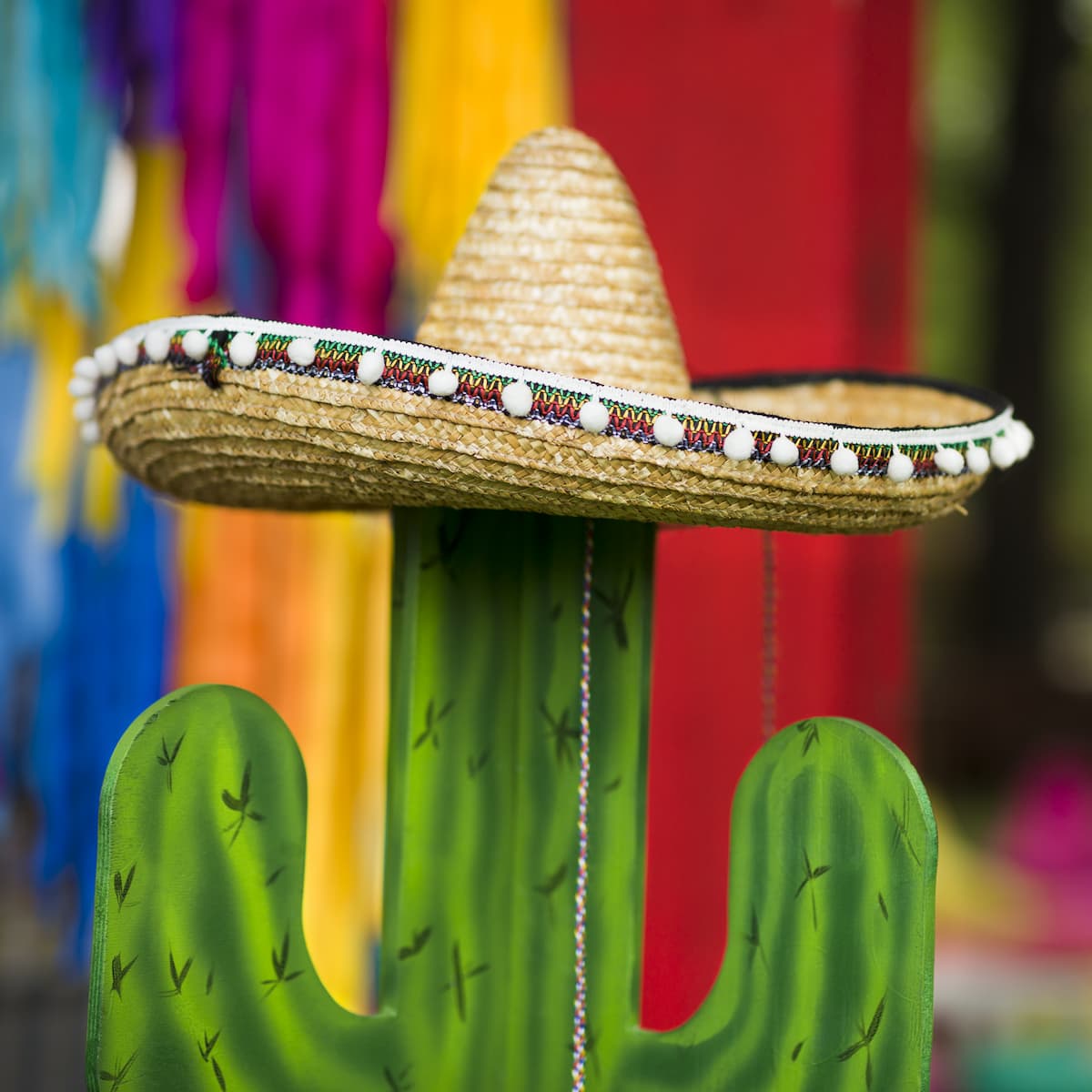 An image of a wooden painted cactus wearing a sombrero.